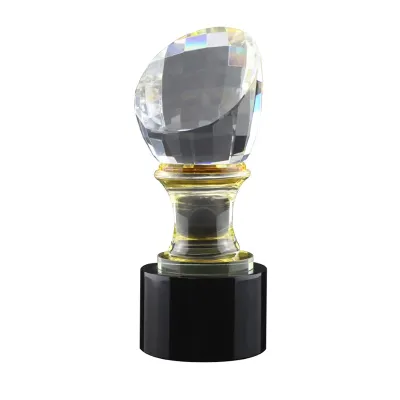  Crystal Glass Trophy in Wooden Box