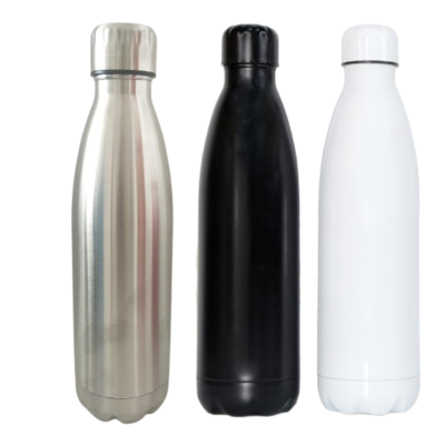 Stainless Bottles 