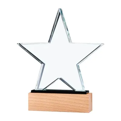 Star Shaped Crystal Awards With Wooden Base