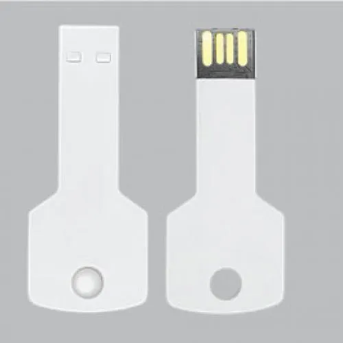 USB Flash Drives in Key Shaped 16GB