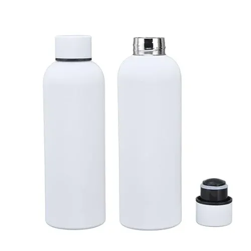 Serpens Frosted Portable Stainless Steel Bottles