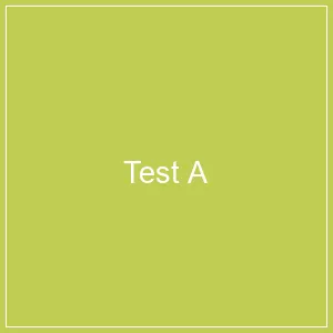 Test ATest ATest ATest A